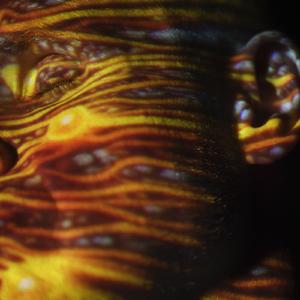 紫悦被狂❌爆乳图片
