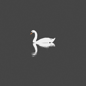 紫悦被狂❌爆乳图片
